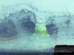 Frost on Big T's windshield, Shepherdsville, Kentucky