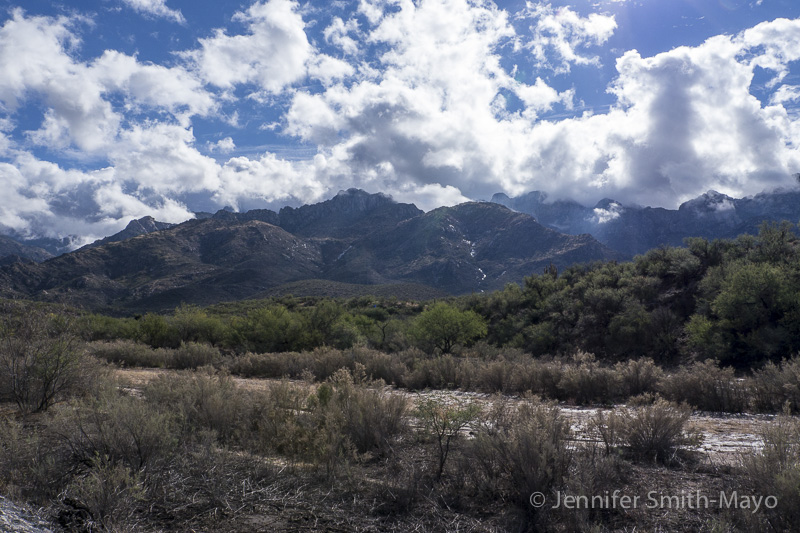Catalina State Park, Tuscon, Arizona