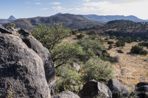 Chihuahuan Desert Nature Center and Botanical Gardens, Fort Davis, Texas