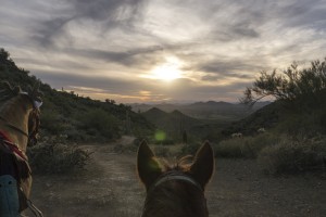 We admire the view at Cave Creek Regional Park.