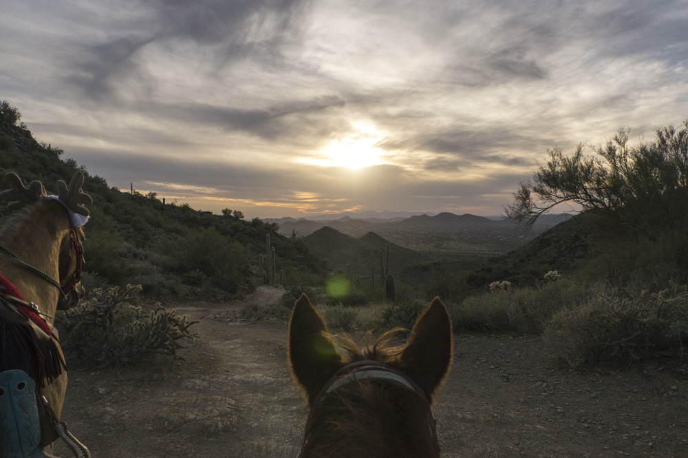 Giddy-up!