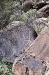 Petroglyphs on the Waterfall Trail
