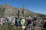 Wildflower walk led by a park volunteer
