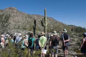 Wildflower walk led by a park volunteer
