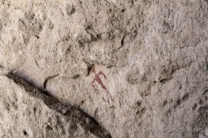 Cave 5 ceiling pictograph