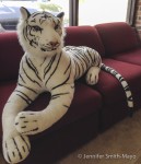 Watch where you sit … there's a tiger in Provan's showroom!
