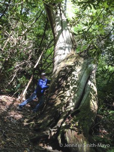 Team Gritty on the Trail in the Great Smoky Mountains National Park, North Carolina