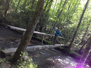 Team Gritty on the Trail in the Great Smoky Mountains National Park, North Carolina