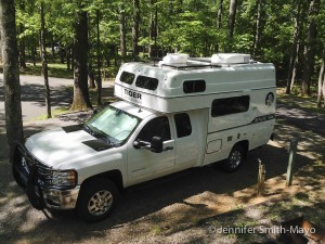 The Tiger at Natural Bridge KOA campground, Virginia