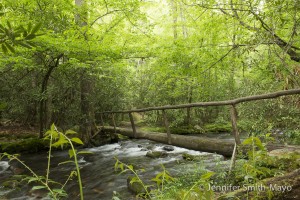 Wooden walking bridge across the Bradley Fork river in the Great Smoky Mountains National Park, North Carolina