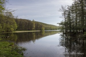 Locust Lake State Park, Barnesville, Pennsylvania