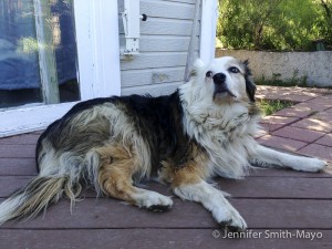 Beautiful Syd, the purtier half of Mean Pete Press!