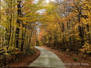Backroad in Vermont's Northeast Kingdom