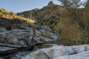 Romero Pools, Catalina State Park, Tuscon, Arizona