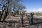 Bird walk, Catalina State Park, Tuscon, Arizona