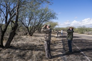 Bird walk, Catalina State Park, Tuscon, Arizona