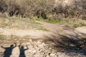 Team Gritty on the Canyon Loop Trail