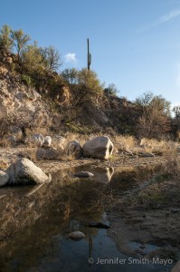 Crossing the Sutherland Wash on the Canyon Loop Trail, Catalina State Park, Tuscon, Arizona