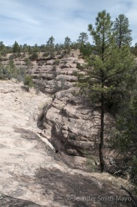 Slot canyon view—can this really be the trail?